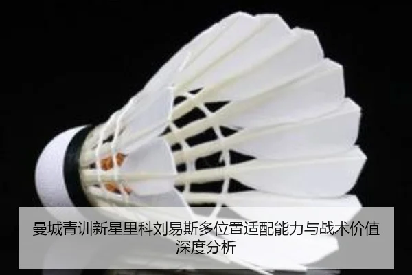 曼城青训新星里科刘易斯多位置适配能力与战术价值深度分析